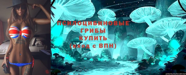 герыч Ладушкин